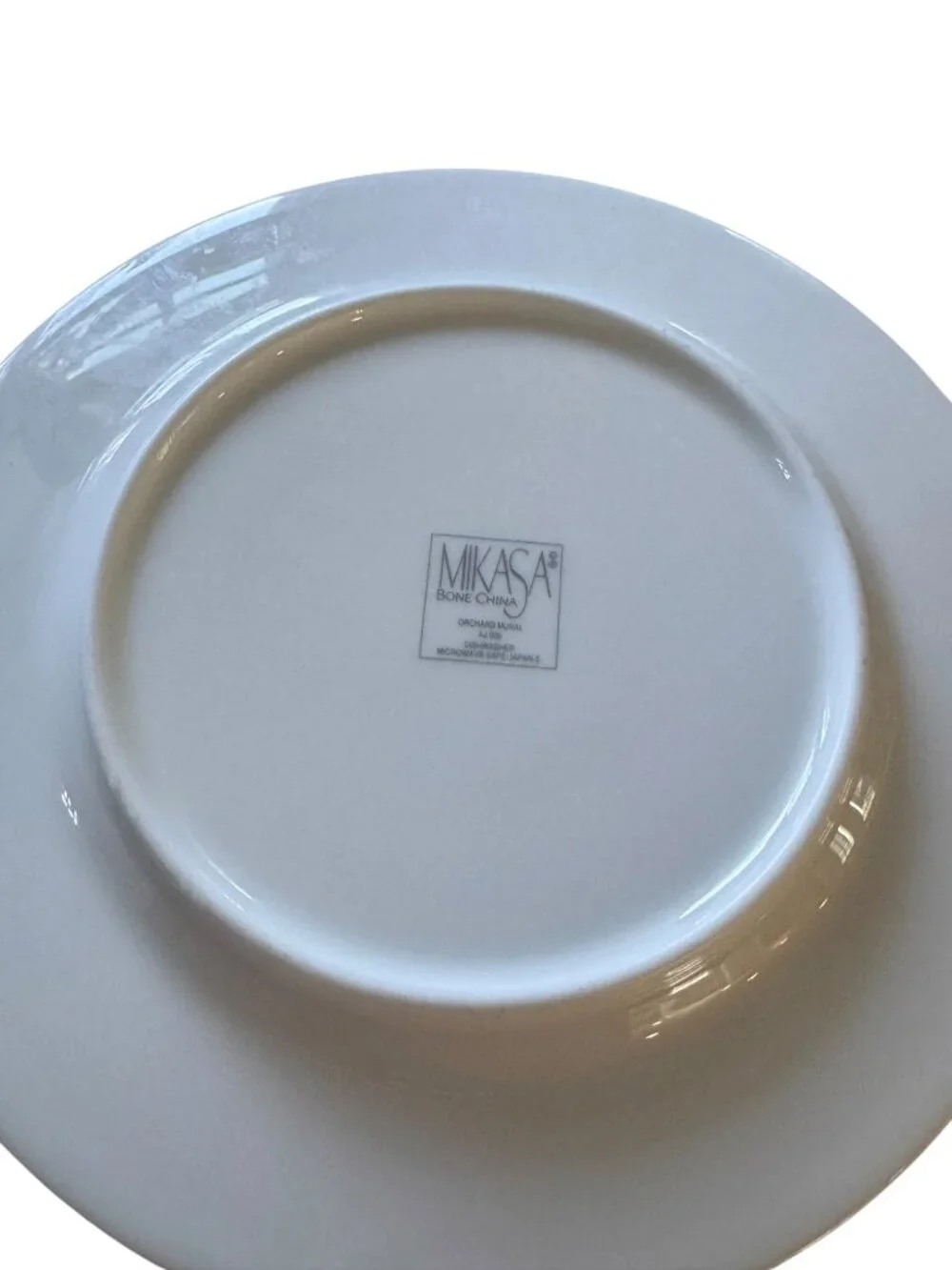 Mikasa Bone China Orchard Mural 6.5